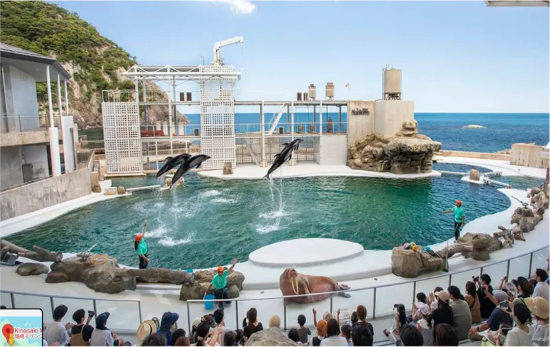 키노사키 마린월드 2