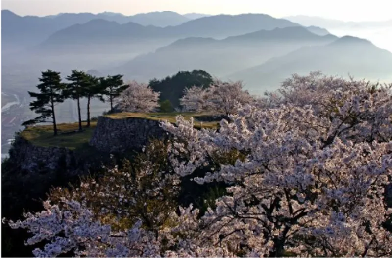 다케다성 유적지 1