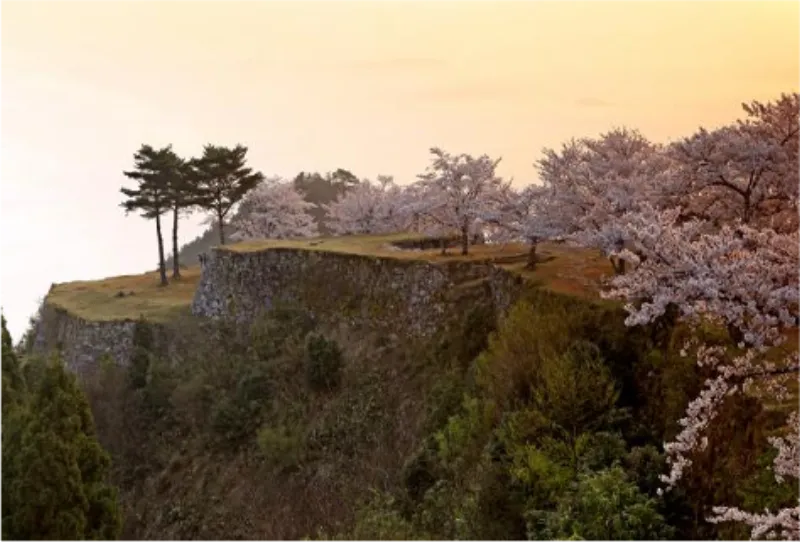 다케다성 유적지 2